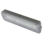 ANSELL AGLED/3M LED SELF-TEST EMERGENCY BULKHEAD M/NM